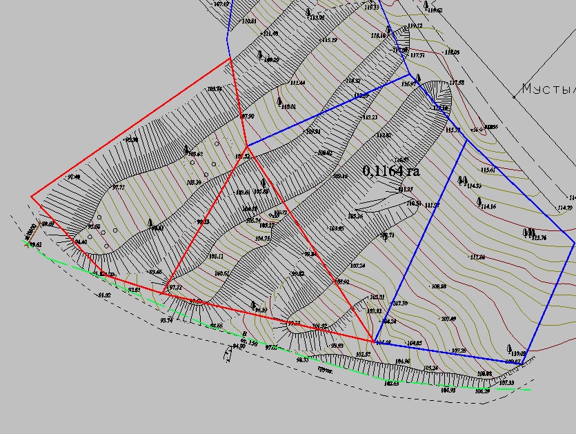 <span style="font-weight: bold;">КАДАСТРОВАЯ СЪЁМКА<br></span>